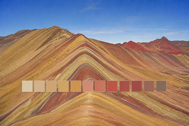 La natura in casa